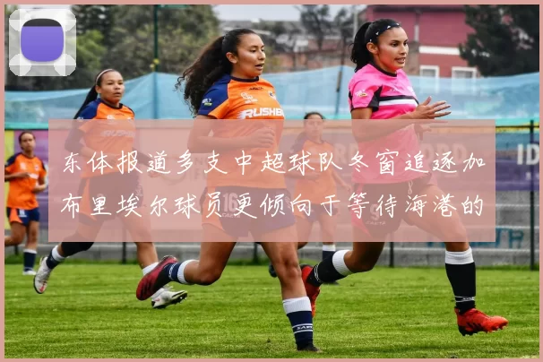 东体报道多支中超球队冬窗追逐加布里埃尔球员更倾向于等待海港的机会